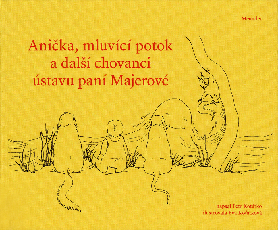 Anička, mluvící potok a další chovanci ústavu paní Majerové (Anna, der sprechende Bach und andere Insassen von Frau Majerovas Sanatorium) Book Cover