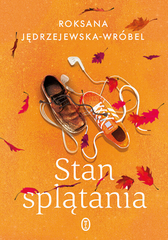 Stan splątania (Zustand der Verwirrung) Book Cover