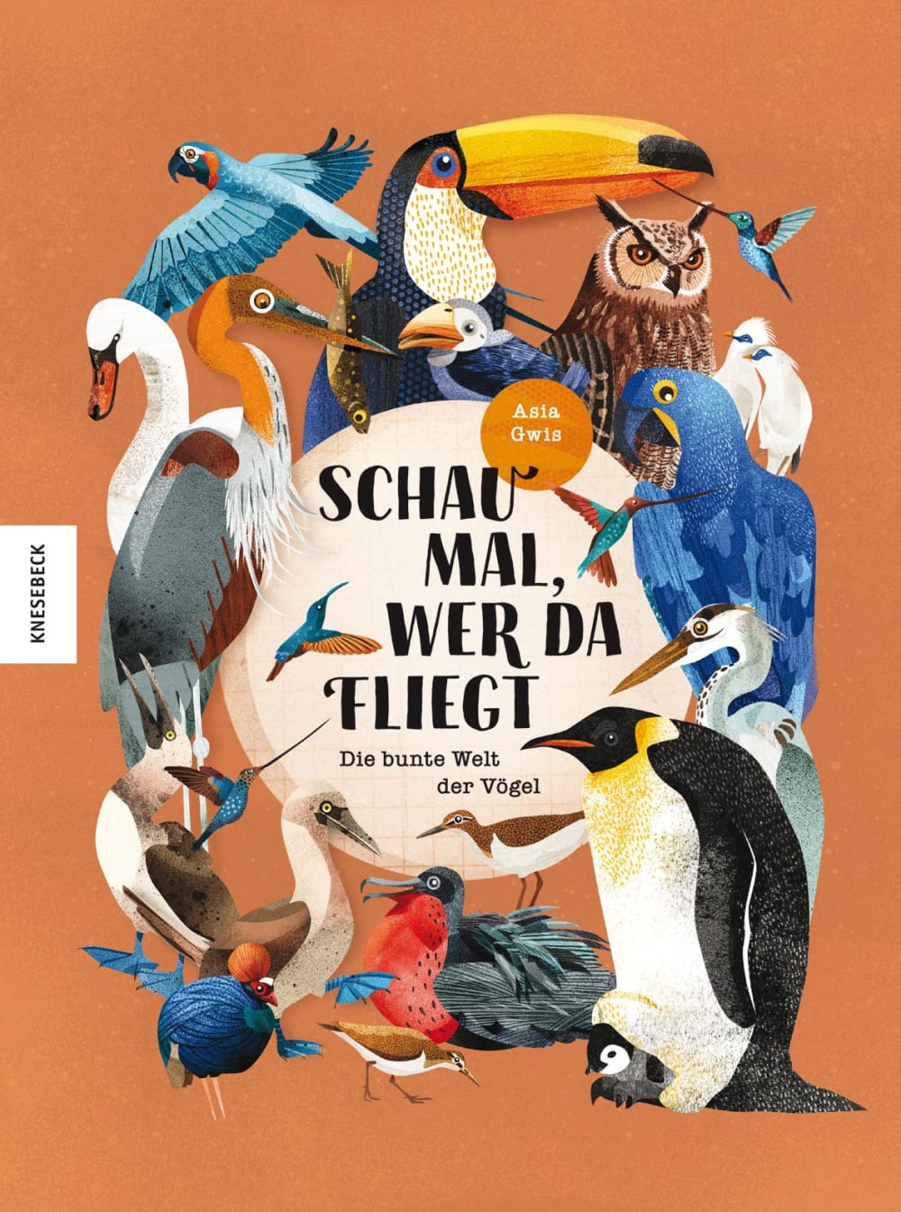 Schau mal, wer da fliegt. Die bunte Welt der Vögel Book Cover