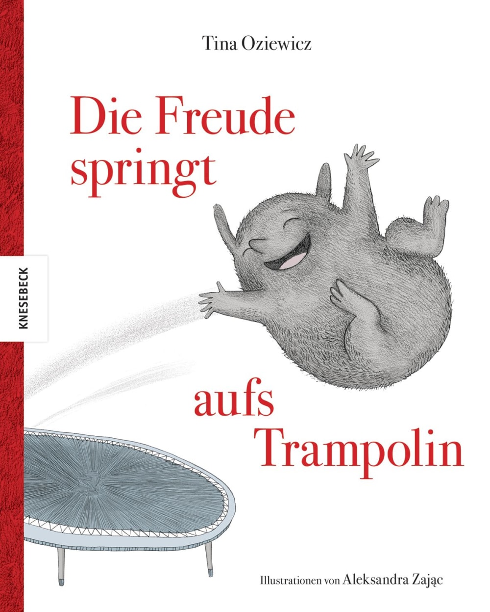 Die Freude springt aufs Trampolin Book Cover