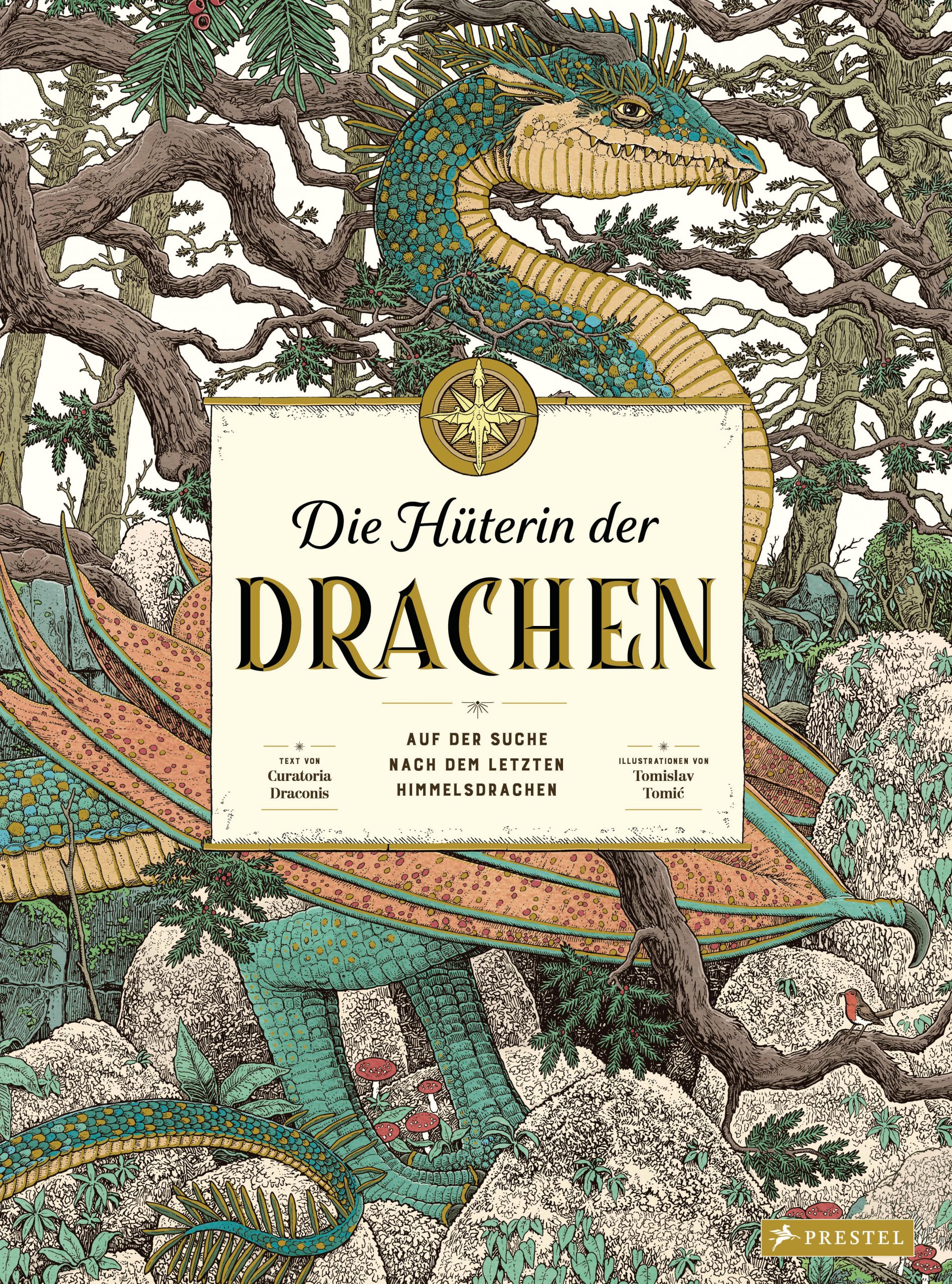 Die Hüterin der Drachen. Auf der Suche nach dem letzten Himmelsdrachen Book Cover