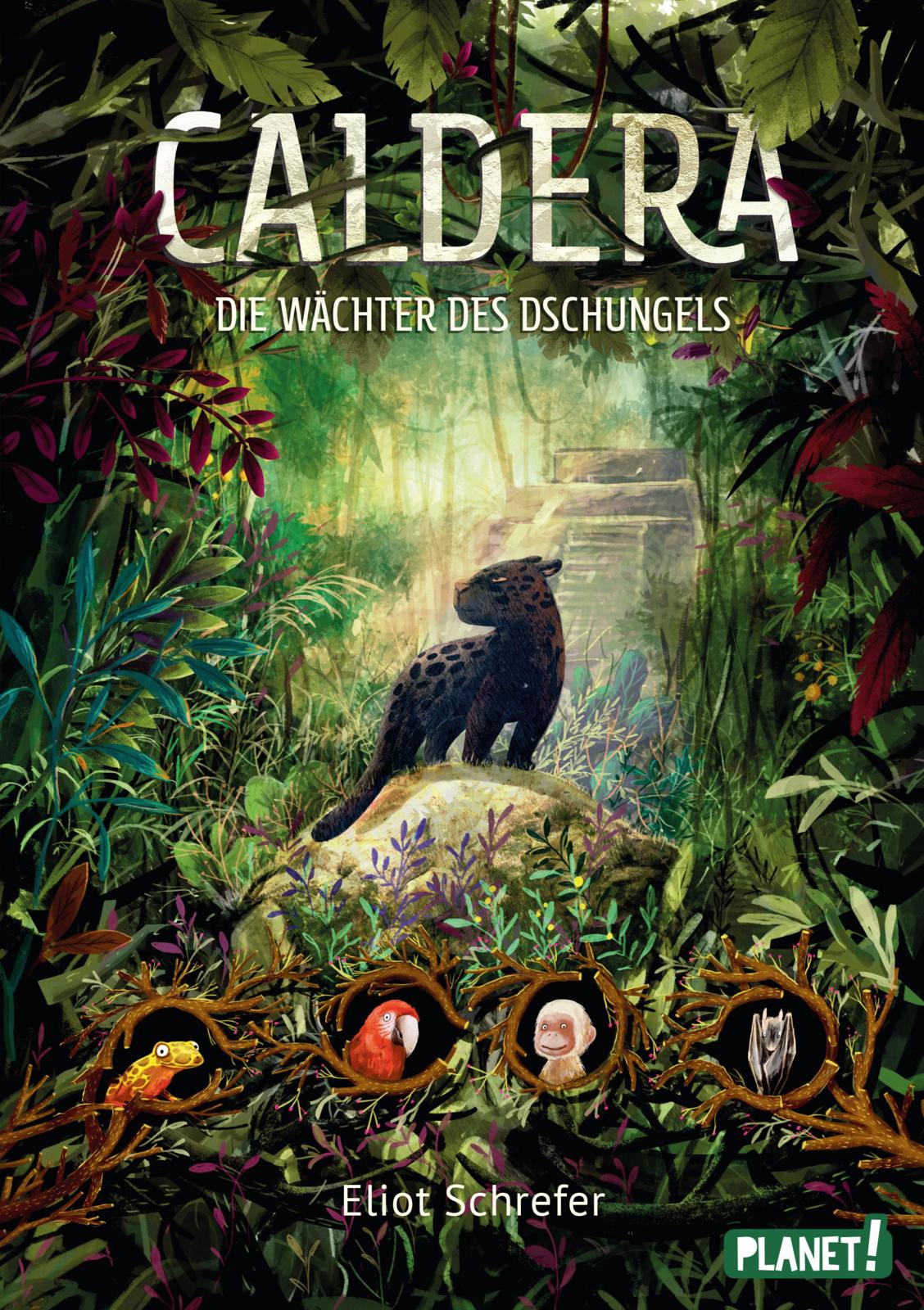 Caldera – Die Wächter des Dschungels Book Cover