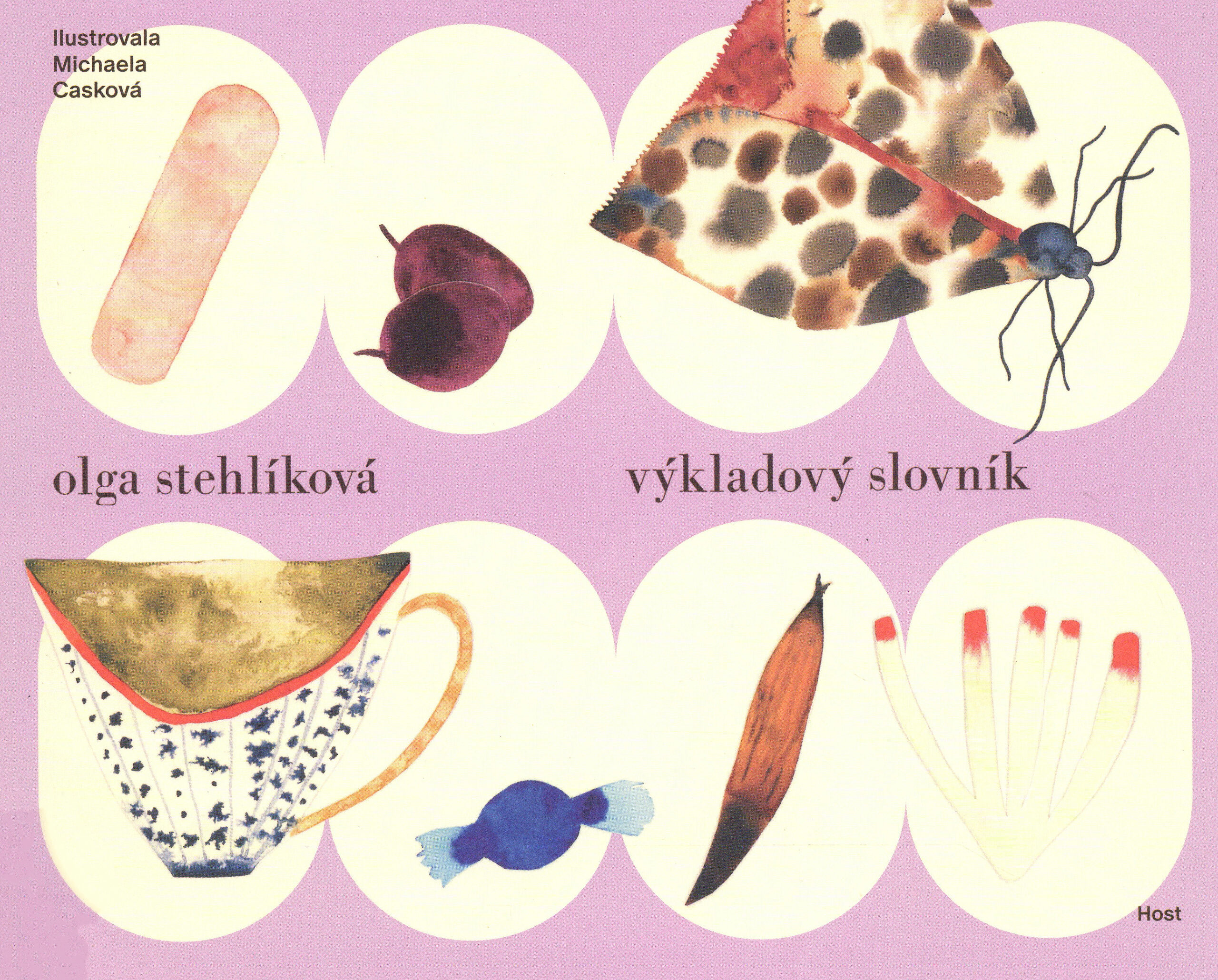Výkladový slovník (Erklärendes Wörterbuch) Book Cover