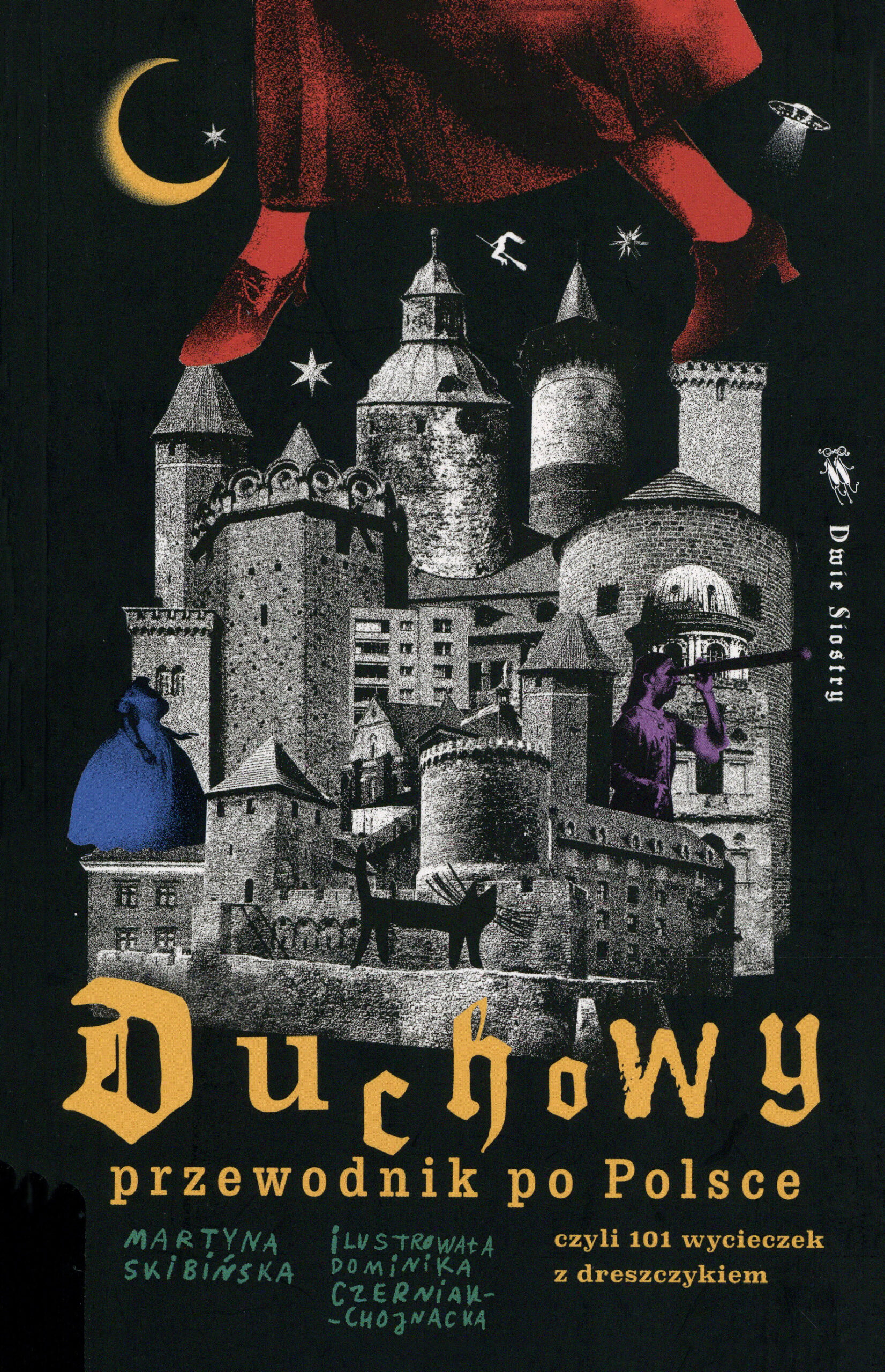 Duchowy przewodnik po Polsce. Czyli 101 wycieczek z dreszczykiem (Ein geisterhafter Führer durch Polen. Oder 101 Touren mit Nervenkitzel) Book Cover