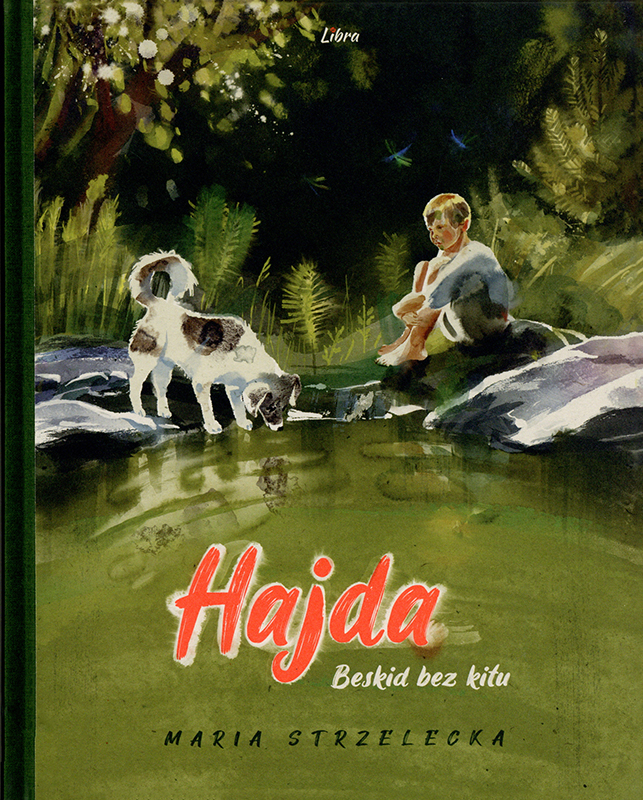 Hajda. Beskid bez kitu Book Cover