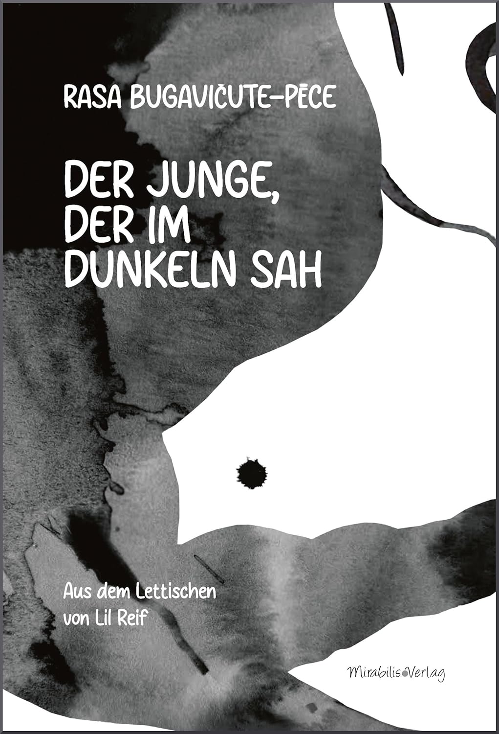 Der Junge, der im Dunkeln sah Book Cover